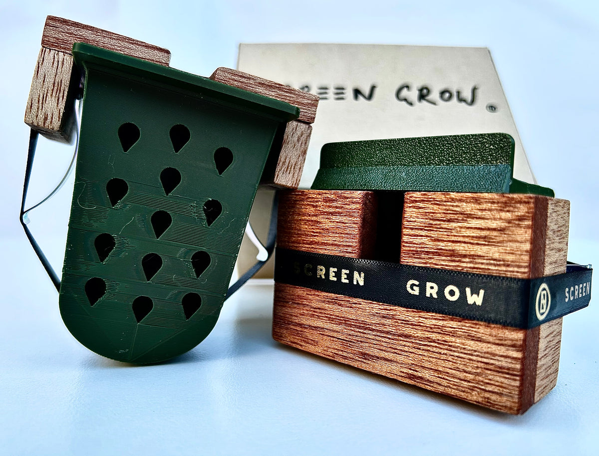 Original Hard Wood - Box of 2